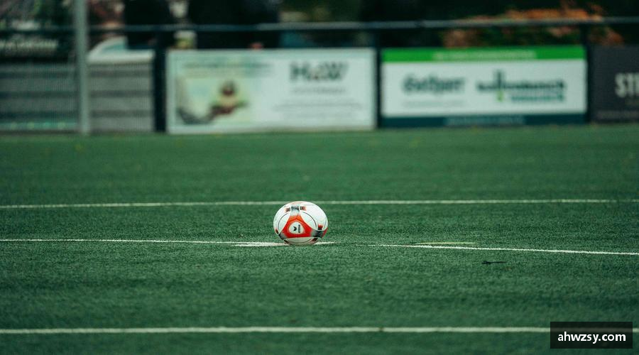 悟空体育平台🌟 与千万球迷同频，共享胜利喜悦！🎊